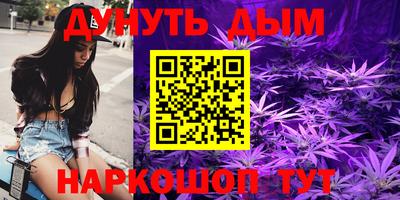 дмт Обь
